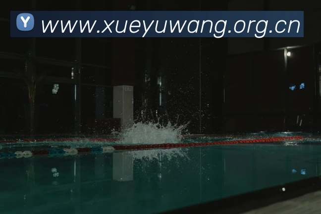 半岛官网网页版入口APP 体育赛事宣传图